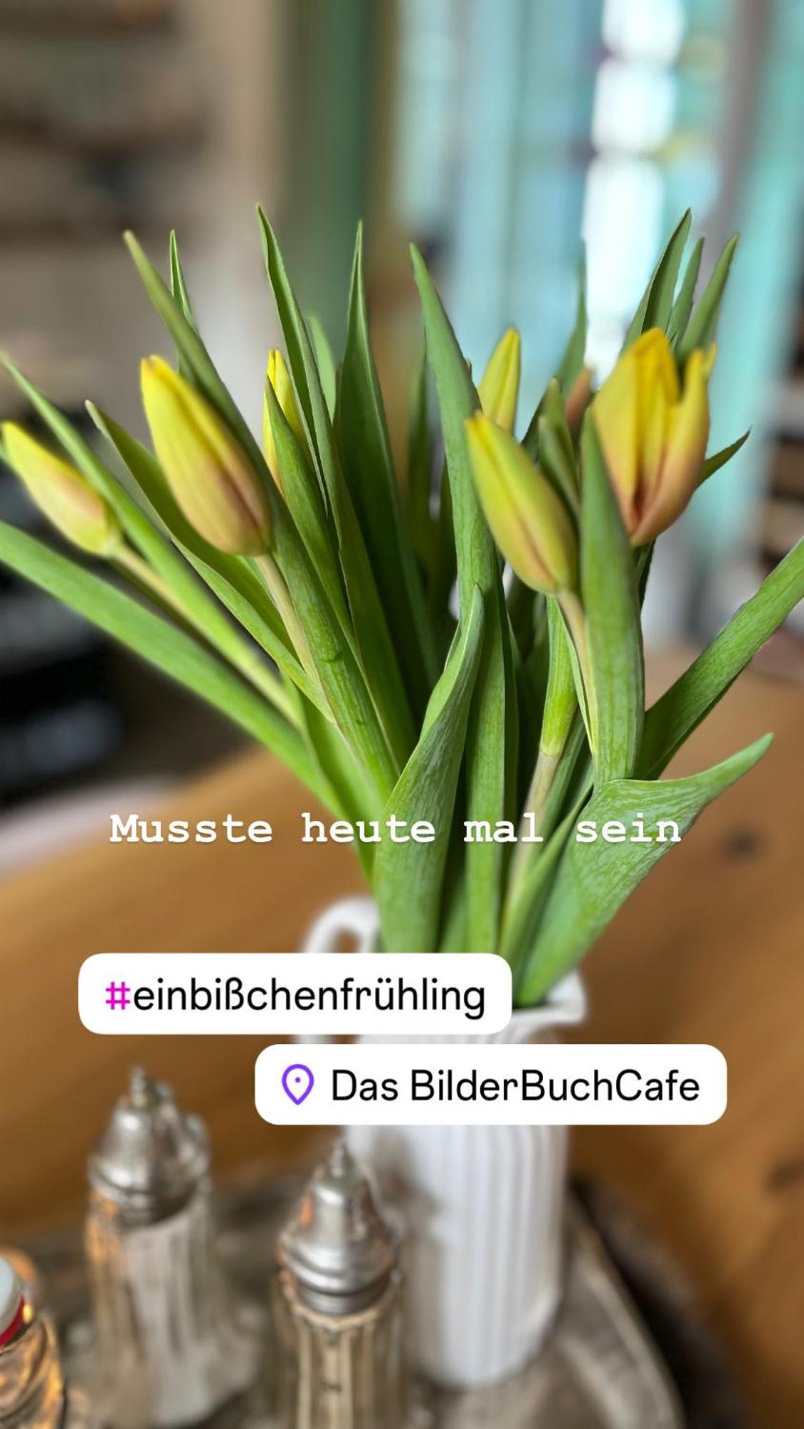 Das Bilderbuchcafe - Ferien Apartment No 5 - Markt 7 Хафельберг Экстерьер фото